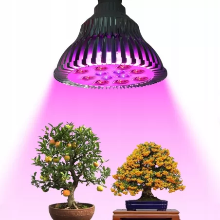 Duża żarówka do uprawy roślin LED E27 GROW 21W FULL SPECTRUM